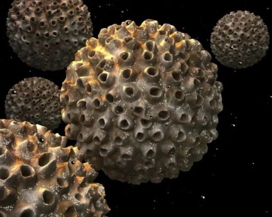 Papiloma virus